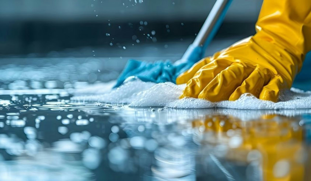 Staff for Home & Office